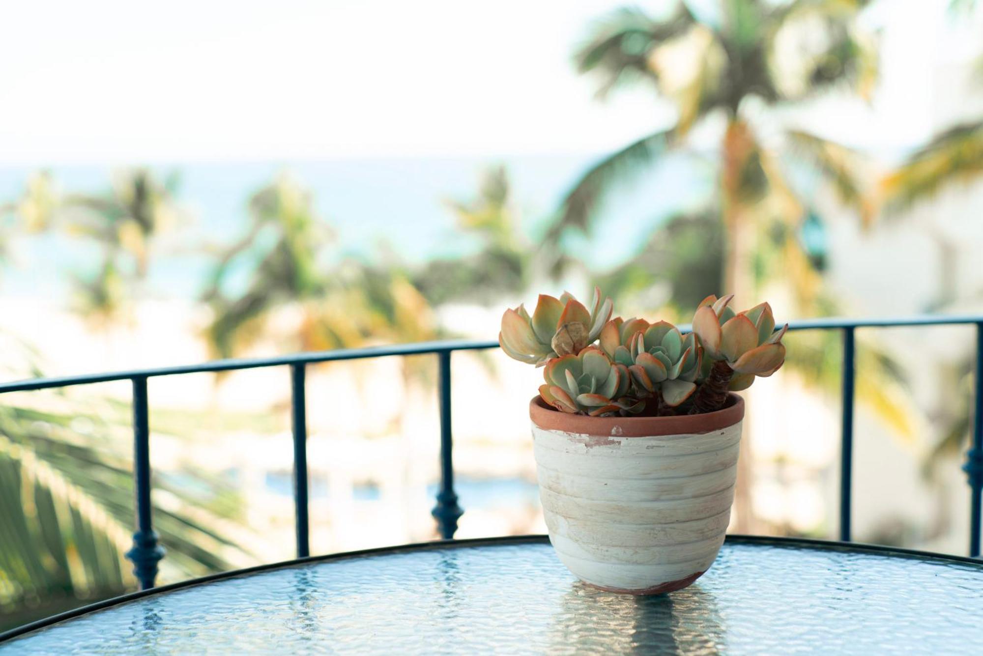San José del Cabo Beach Front Mykonos מראה חיצוני תמונה